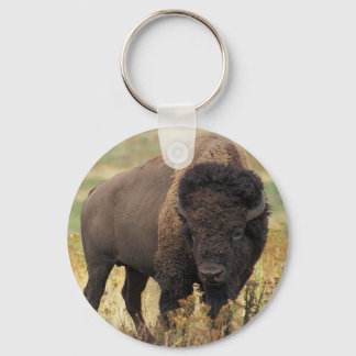 Llavero Keychain de American Bison