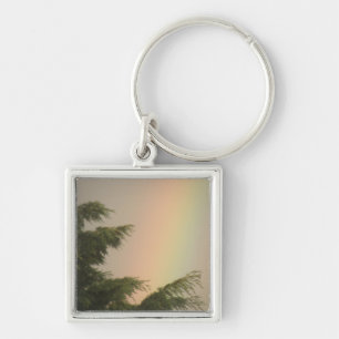 Llavero Keychain de arcoiris y árboles