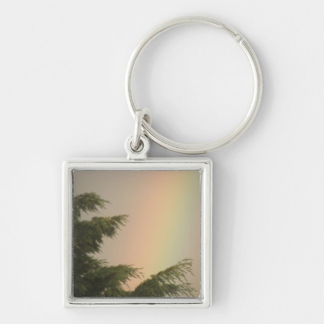 Llavero Keychain de arcoiris y árboles (Frente)