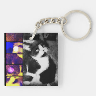 Llavero Keychain de arte fotográfico de Tuxedo Kitten