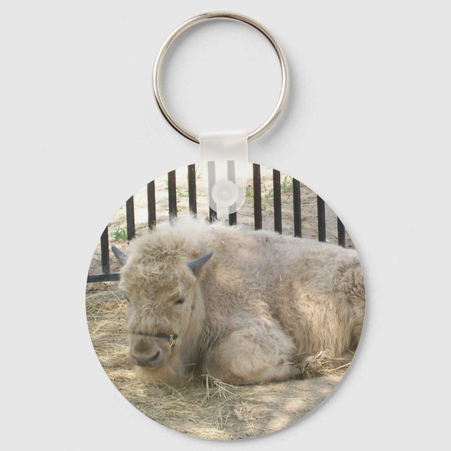 Llavero Keychain de búfalo blanco (Anverso)