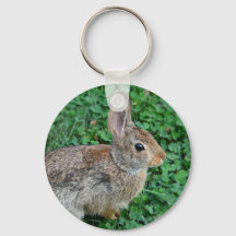Keychain de Conejo Conejo Conejo Conejo Conejo