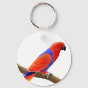 Llavero Keychain de Eclectus Parrot