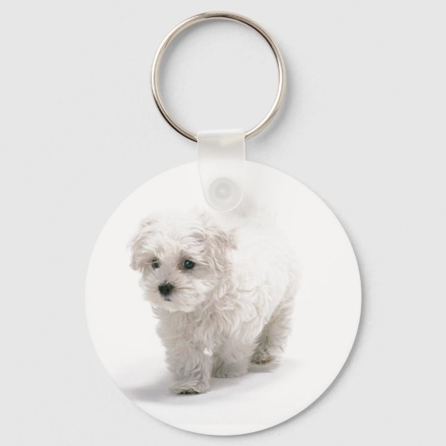 Llavero Keychain de fotos de Bichon Frise (Anverso)
