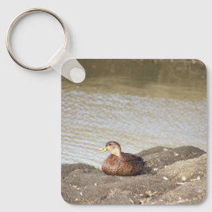Llavero Keychain de fotos del pato de Mallard