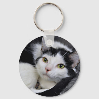 Llavero Keychain de gatos de pelo medio negro y blanco/tux