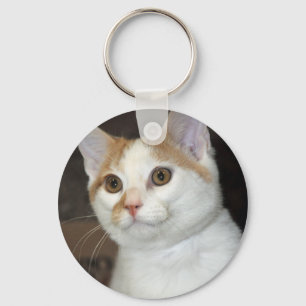 Llavero Keychain de gatos de refugio para niños de pelo co