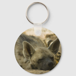 Llavero Keychain de Hiena Durmiente