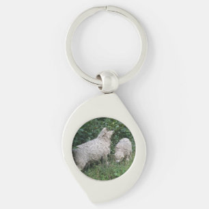 Llavero Keychain de hojas de alimentación de ovejas cortas