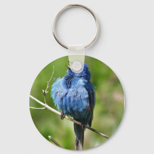 Llavero Keychain de indigo Bunting