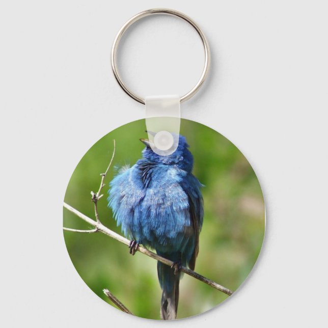 Llavero Keychain de indigo Bunting (Anverso)