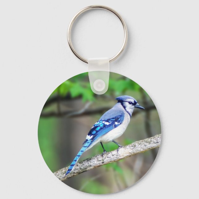 Llavero Keychain de Jay Azul (Anverso)