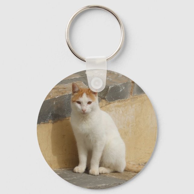 Llavero Keychain de la fotografía del gato (Anverso)