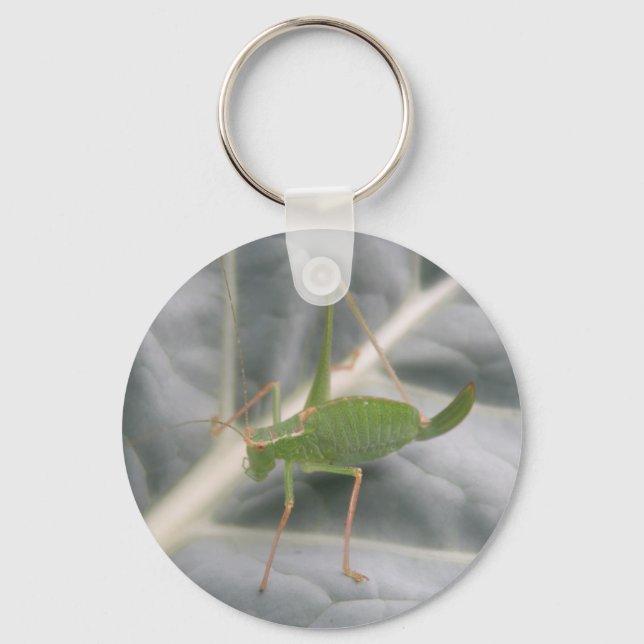Llavero Keychain de la macro del críquet verde (Anverso)