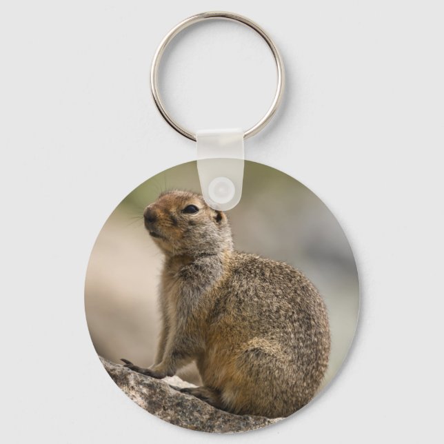 Llavero Keychain de la marmota de las flores alpinas (Anverso)