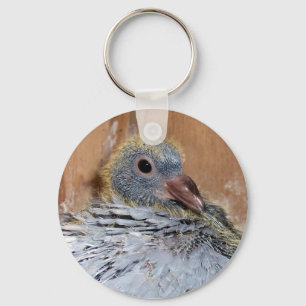 Llavero Keychain de la paloma de bebé