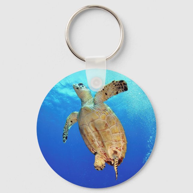 Llavero Keychain de la tortuga marina (Anverso)