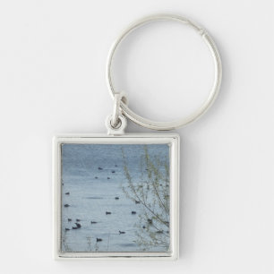 Llavero Keychain de las aves del lago