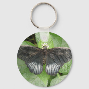 Llavero Keychain de las flores y la mariposa tropical boni