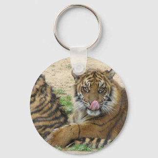 Llavero Keychain de los Cubos de tigre