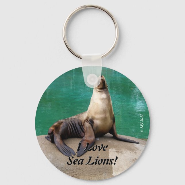 Llavero Keychain de los leones marinos (Anverso)
