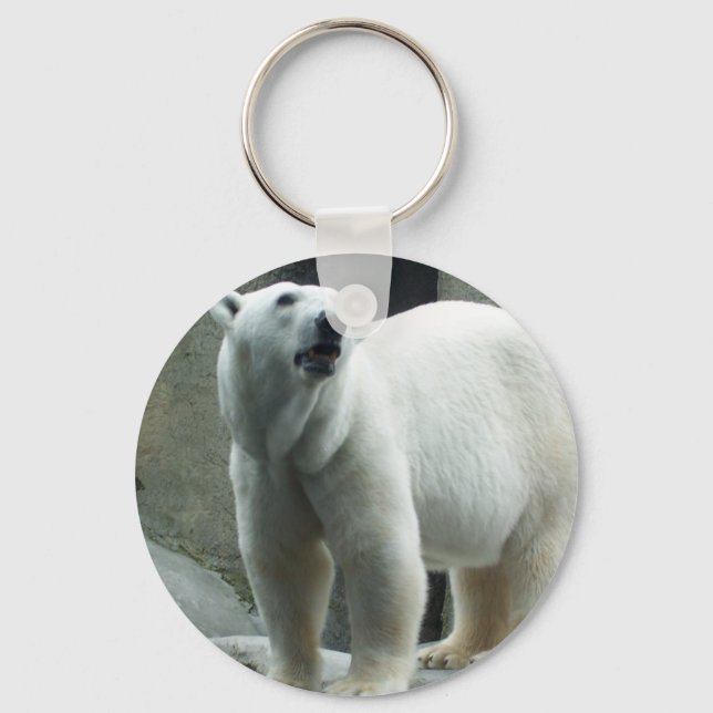 Llavero Keychain de oso polar blanco (Anverso)