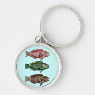Llavero Keychain de peces loro
