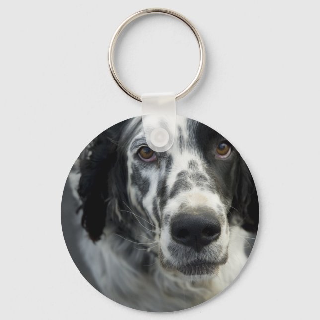 Llavero Keychain de Perro de Setter Inglés (Anverso)
