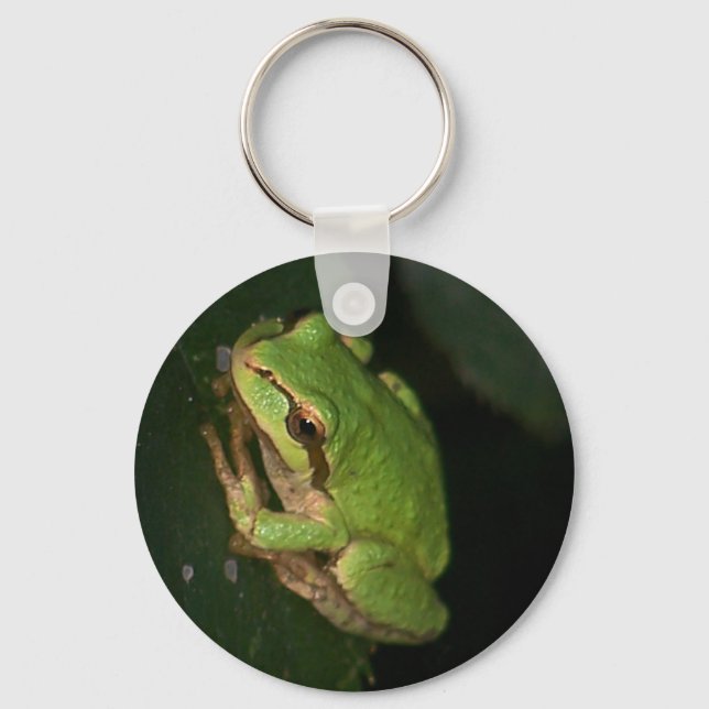 Llavero Keychain de rana de árbol verde (Anverso)