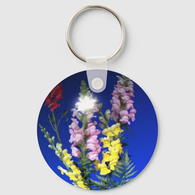 Llavero Keychain de Snapdragon (Anverso)