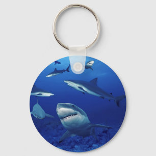 Llavero Keychain de tiburones