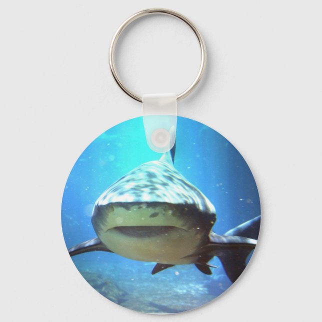 Llavero Keychain de tiburones (Anverso)