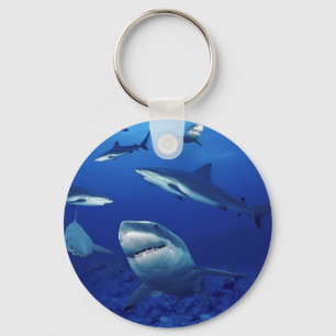 Llavero Keychain de tiburones