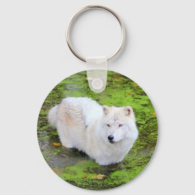 Llavero Keychain del lobo blanco (Anverso)