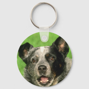 Llavero Keychain del perro de ganado vacuno australiano