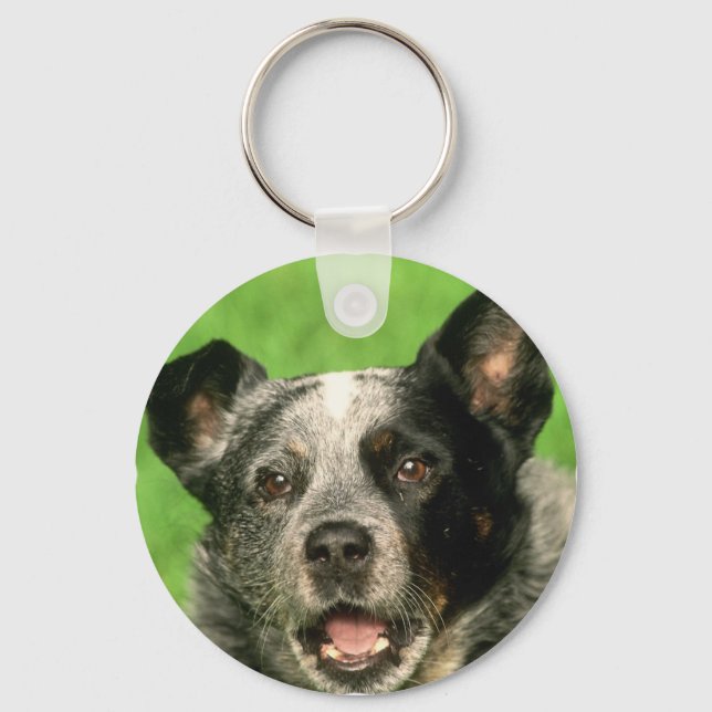 Llavero Keychain del perro de ganado vacuno australiano (Anverso)