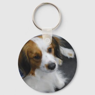 Llavero Keychain del perro de Kooikerhondje