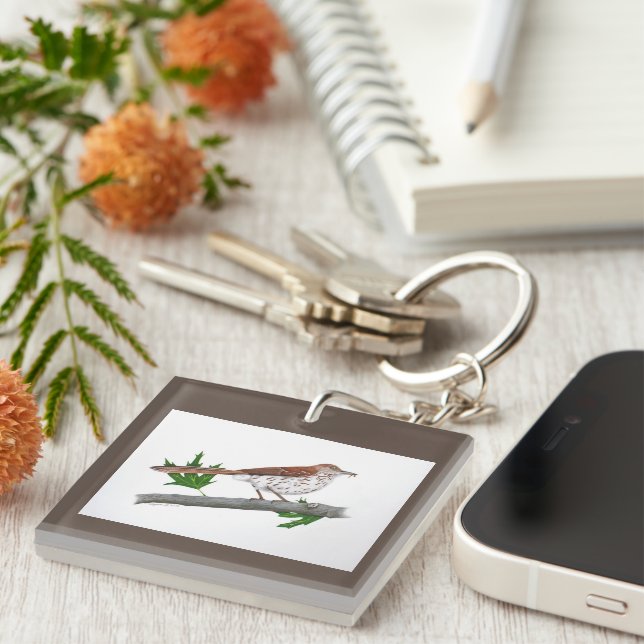 Llavero Keychain del Thrasher de Brown (Frente Derecha)