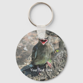 Llavero Keychain fotográfico sobre la naturaleza de las av