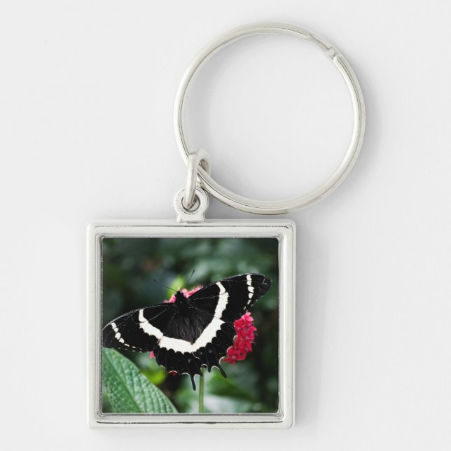 Llavero Keychain Lolipop de mariposa (Frente)