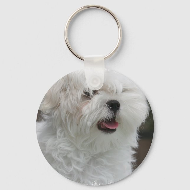 Llavero Keychain maltesa blanca (Anverso)