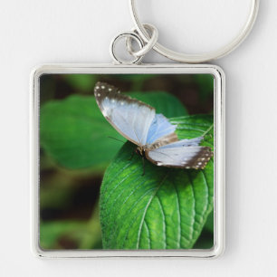 Llavero Keychain Morfo Azul 112
