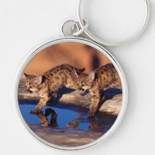 Llavero Keychain Mountain Lion Cubs Keychain