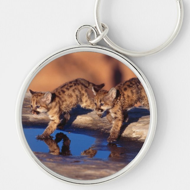 Llavero Keychain Mountain Lion Cubs Keychain (Frente)