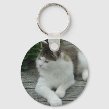 Keychain o Keyring - Imagen 1 de Maine Coon Cat