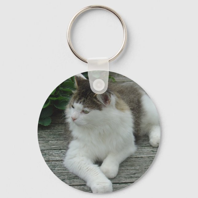 Llavero Keychain o Keyring - Imagen 1 de Maine Coon Cat (Anverso)