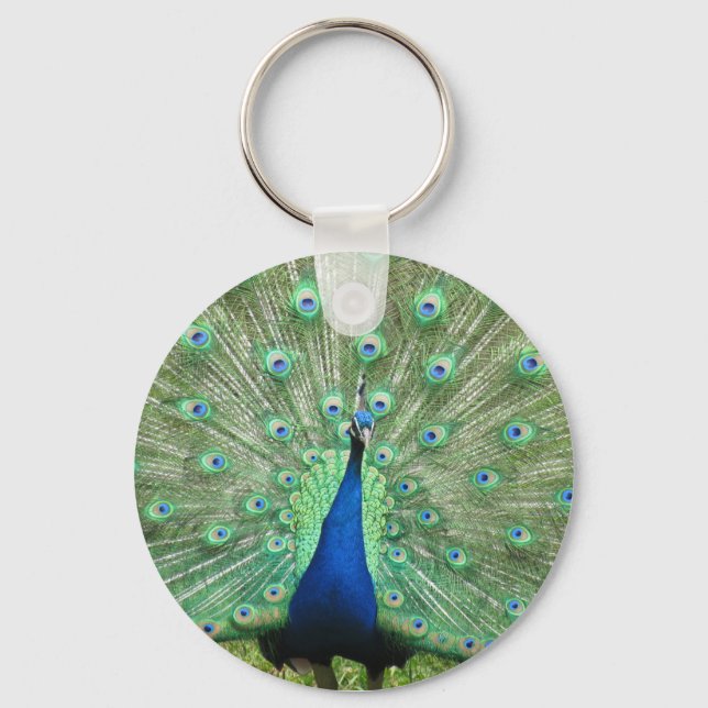 Llavero Keychain - Orgulloso Peacock (Anverso)