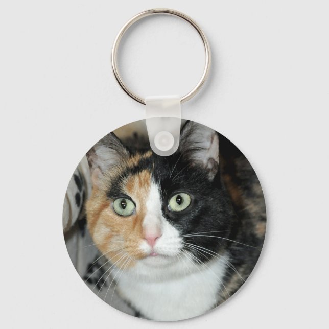Llavero Keychain para gatos de Shorthair Calico Shelter (Anverso)