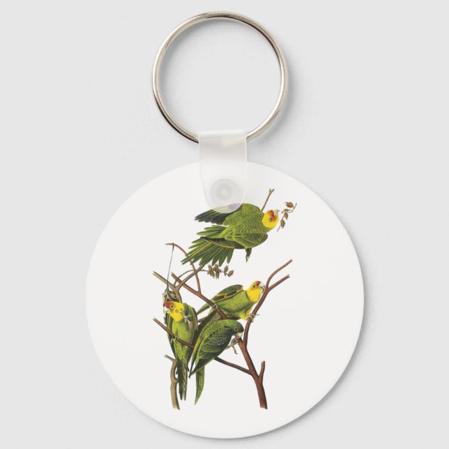 Llavero Keychain: Parakeet - por John Audubon (Anverso)