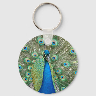 Llavero Keychain Peacock